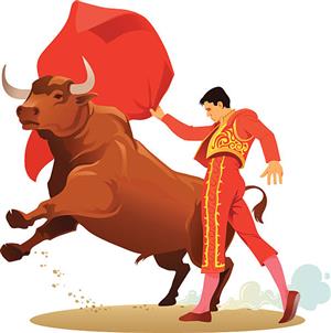 Bullfighter