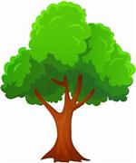 Picture of a tree 