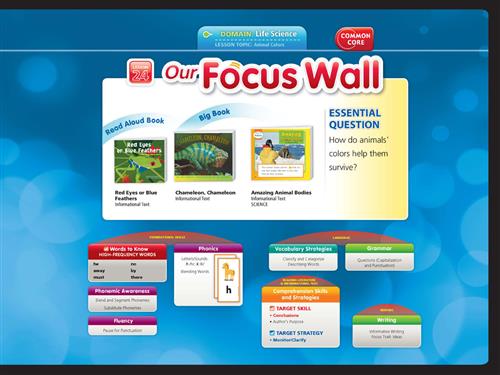 This Week Focus Wall 