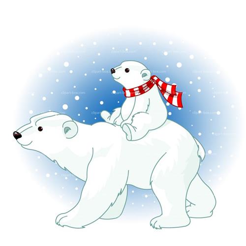 Polar Bears 