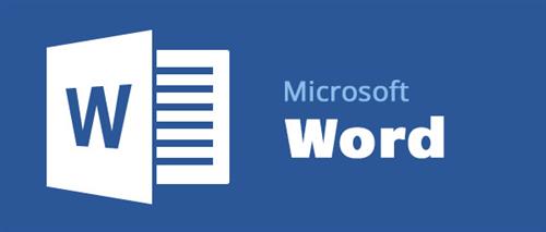 Microsoft Word 