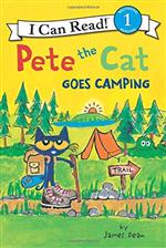 PeteCamping 