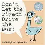 Pigeon 