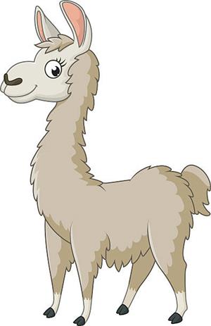 llama 