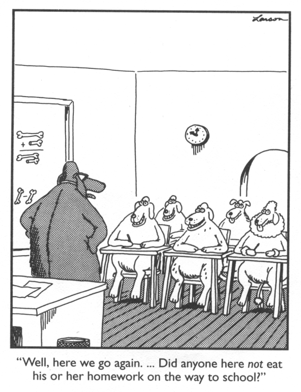 Dog ate homework 