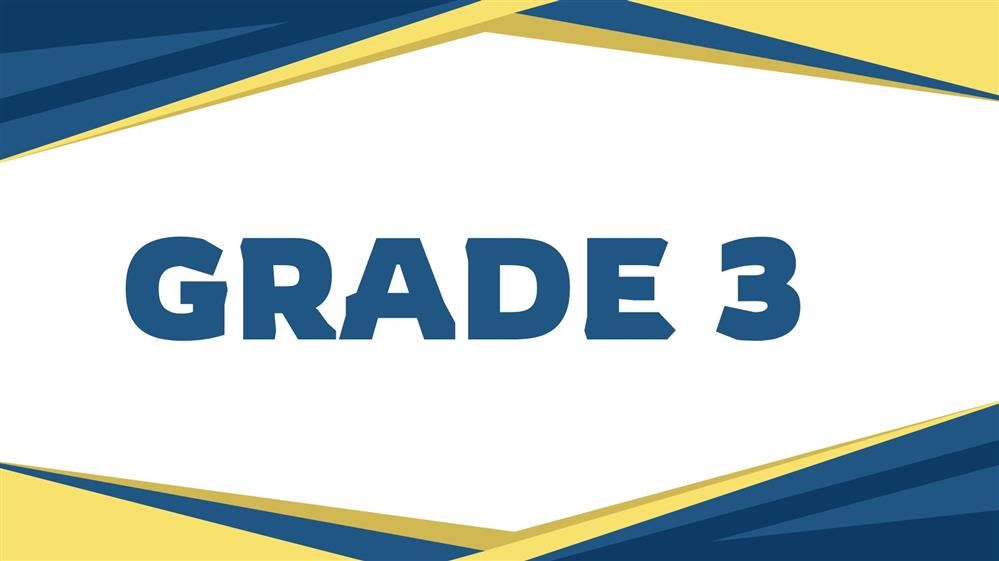 grade 3
