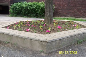 garden1