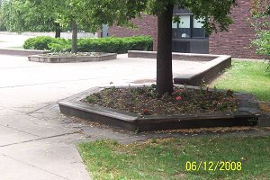 garden2