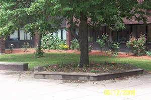 garden3