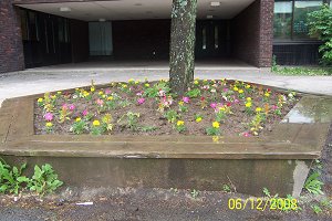 garden4